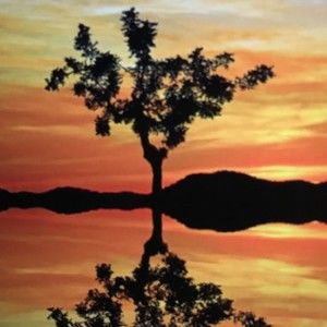 Meet your Posher, Jeannette